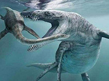 全球最大的掠食动物：史前海洋霸主伊西斯龙王鲸