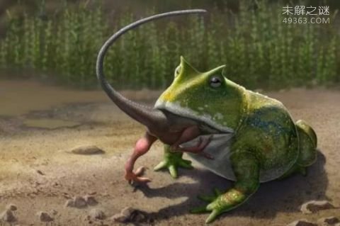 能吃恐龙的青蛙究竟得多大?看看魔鬼蛙如何一口吞下霸王龙