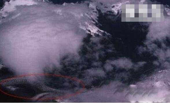卫星拍到的真龙凤凰图片，49363.com