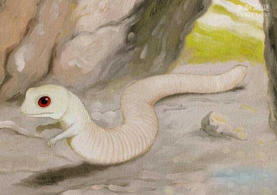 阿尔卑斯山神秘生物塔佐蠕虫的传说：蛇与猫的结合体