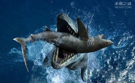 史前霸主巨齿鲨生死谜