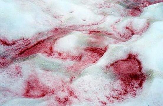 揭秘美国西瓜雪之谜