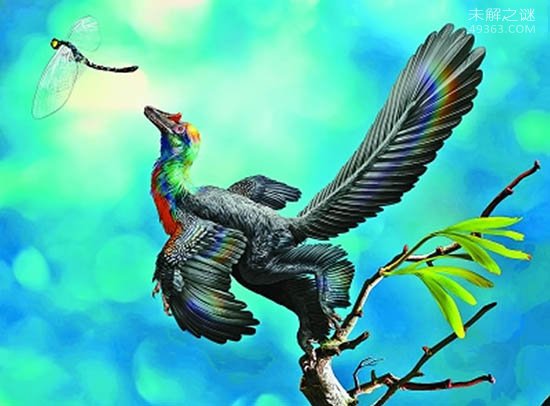 中国考古发现生活在1.61亿年前巨嵴彩虹龙，是鸟类的近亲