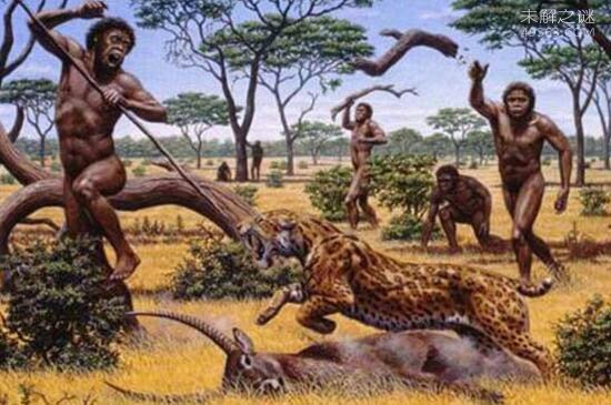 远古恐猫是人类祖先天敌，对南方古猿有致命的危险