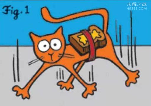 黄油猫悖论,这么好玩的实验你是否了解呢?