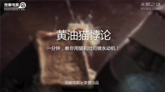 黄油猫悖论,这么好玩的实验你是否了解呢?