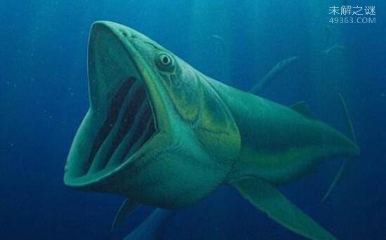 史前巨鱼 - 轻易撕裂鲨鱼