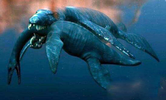 梅氏利维坦鲸的头颅化石被发现，科学家推测65吨重