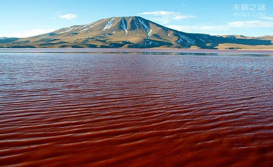 伊拉克血湖的红色液体
