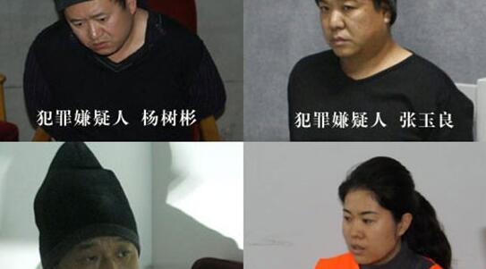 哈尔滨10人碎尸案宣判,杀人狂魔杨树彬嫖娼夺财并肢解抛尸(小姐被绞成肉馅)