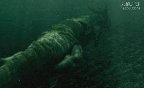 英国渔夫意外在尼斯湖拍到疑似水怪照片