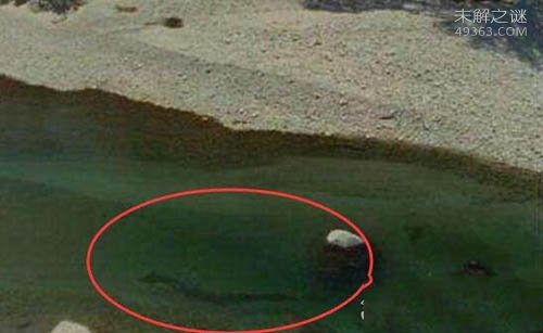 英国渔夫意外在尼斯湖拍到疑似水怪照片
