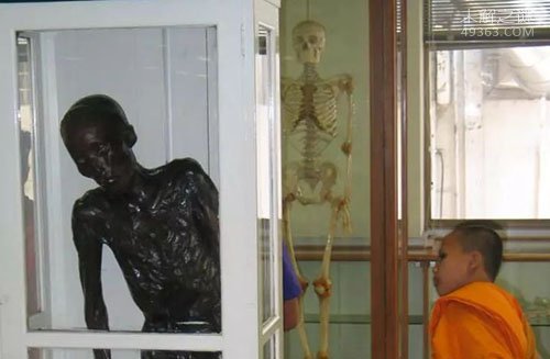 泰国食人魔死后被做成干尸展览
