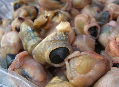 世界10大最恐怖食物,名字就令人毛骨悚然的“美食”
