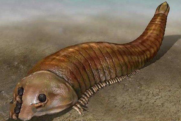 寒武纪10大最恐怖的生物,奇虾成地球霸主,恐龙是它的晚辈