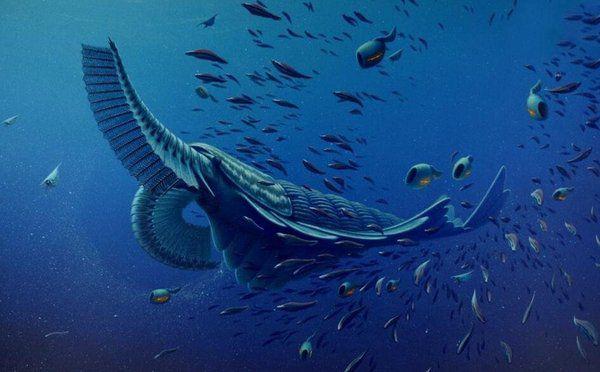 寒武纪10大最恐怖的生物，奇虾成地球霸主，恐龙是它的晚辈