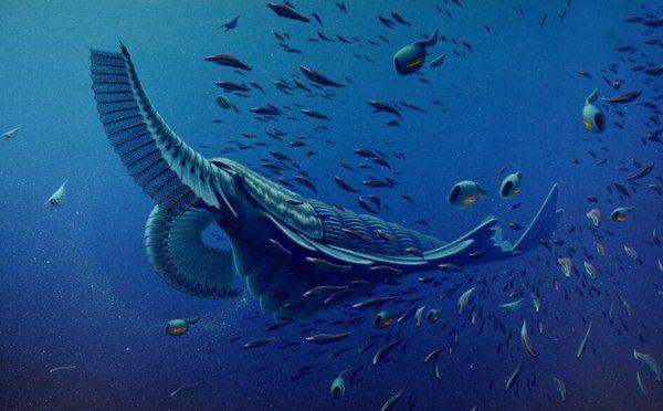 寒武纪10大最恐怖的生物,奇虾成地球霸主,恐龙是它的晚辈