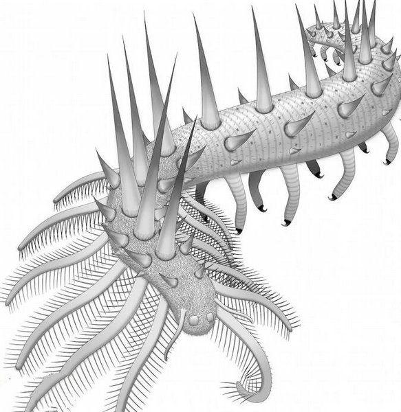 寒武纪十大恐怖生物，怪诞虫竟是霍式不死虫的“亲戚”