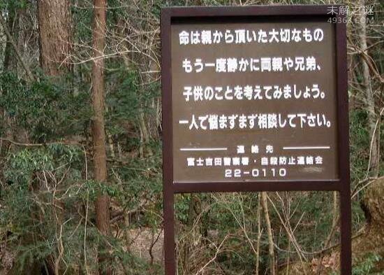 日本自杀森林,为什么都选择在这里结束生命？