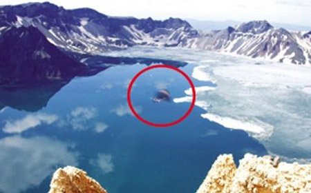 世界十大水怪谜团，尼斯湖怪兽之谜如同滚雪球