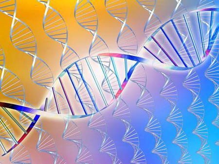 我们的DNA影响着我们的精神健康。