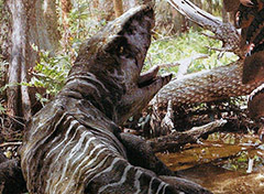 普氏锯齿螈，远古河流中的＂混世魔王＂(最后被鳄鱼打跨)