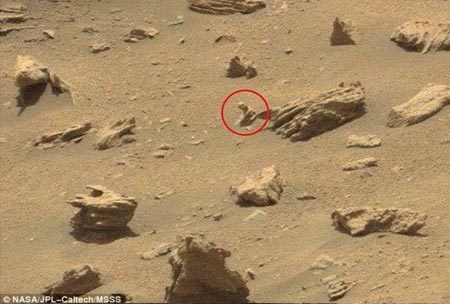 蜥蜴在火星表面石化?