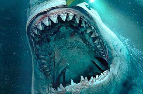 旋齿鲨的天敌是什么?被巨齿鲨秒杀