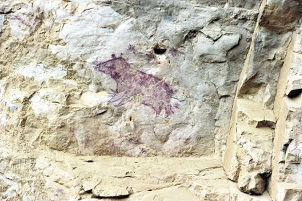 岩画中猪的图形，在贵州省属首次发现