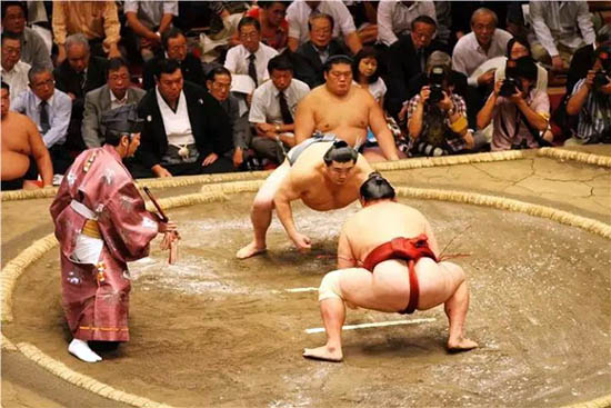 揭秘日本相扑运动，运动员退役后做些什么?