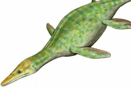 长3米“微型”上龙科生物：泥泳龙体型最小的上龙