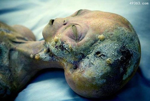 外星人可能比电影中形象大得多625 / 作者:UFO爱好者 / 帖子ID:66860