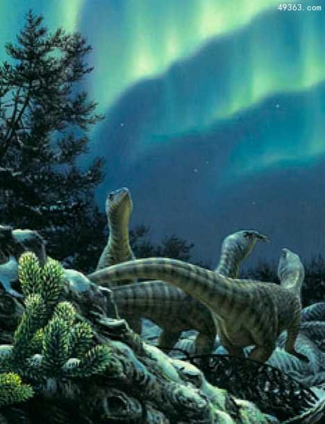 南极大陆蛇颈龙似尼斯湖水怪