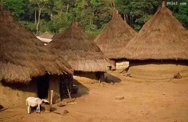 非洲人民居住的奇异房子，牛粪造屋非常环保
