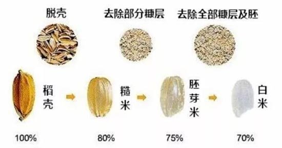 湖南澧阳平原是世界水稻最早起源地