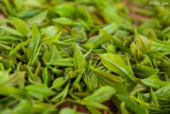 中国十大名茶之一:都匀毛尖