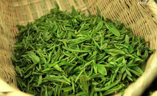 中国十大名茶之一:信阳毛尖
