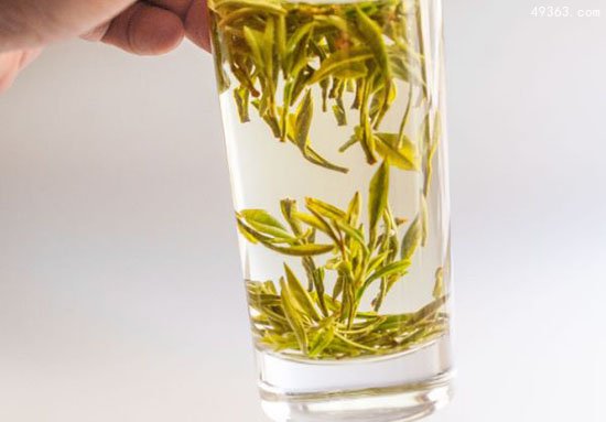 中国十大名茶之一:黄山毛峰