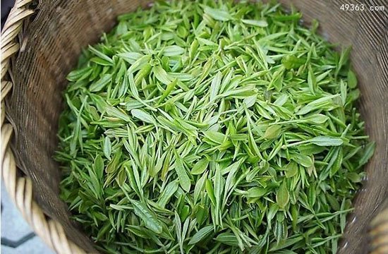 中国十大名茶之一:西湖龙井