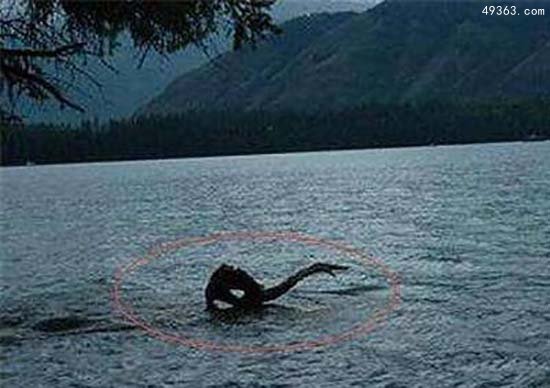 青海湖水怪之谜，科学家推测不是蛇颈龙