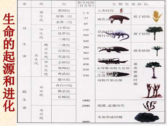 生命起源的7个线索 生物起源矿生新学说