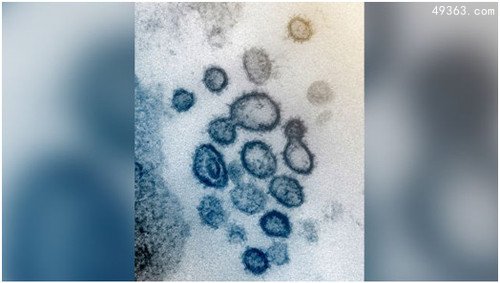 人类历史上12种最致命病毒,冠状病毒上榜
