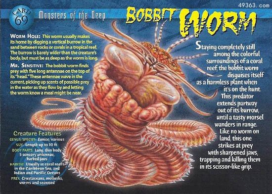 揭秘最恐怖的蠕虫：蒙古“死亡之虫”