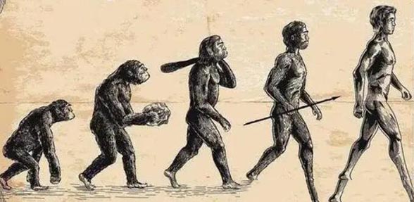 人类会有下一次进化吗，还会继续进化(智齿就是人类进化的表现)