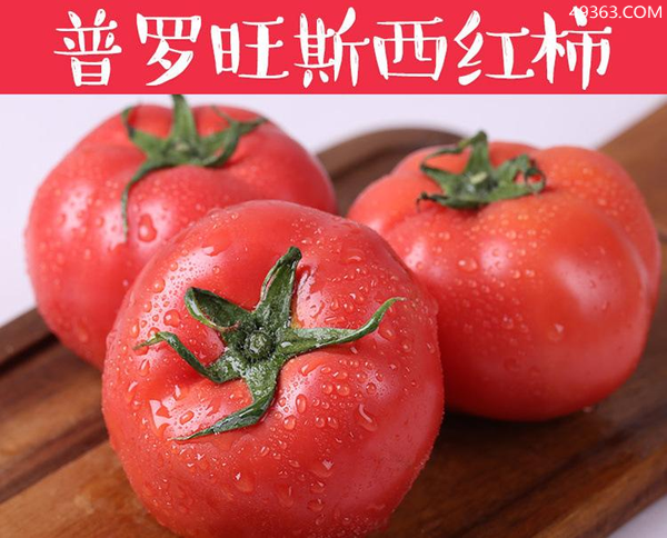 普罗旺斯西红柿简介(和其它西红柿的三个区别)