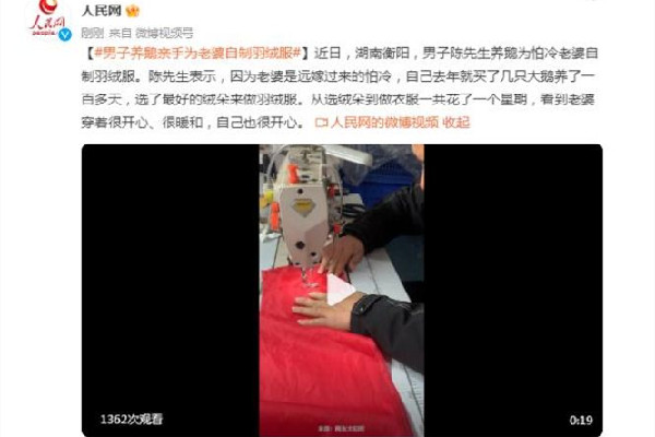 男子从养鹅开始给老婆做羽绒服 羽绒服鹅绒多少克暖和