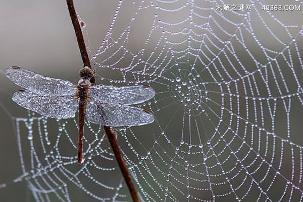 未雨绸缪是什么意思