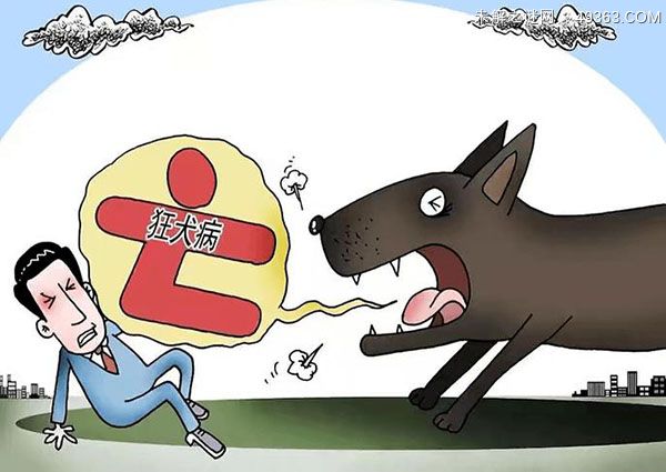 这10种情况不需要打狂犬疫苗
