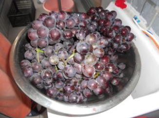自酿葡萄酒的制作方法，如何挑选做葡萄酒的葡萄