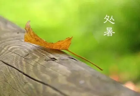 处暑的意思是什么